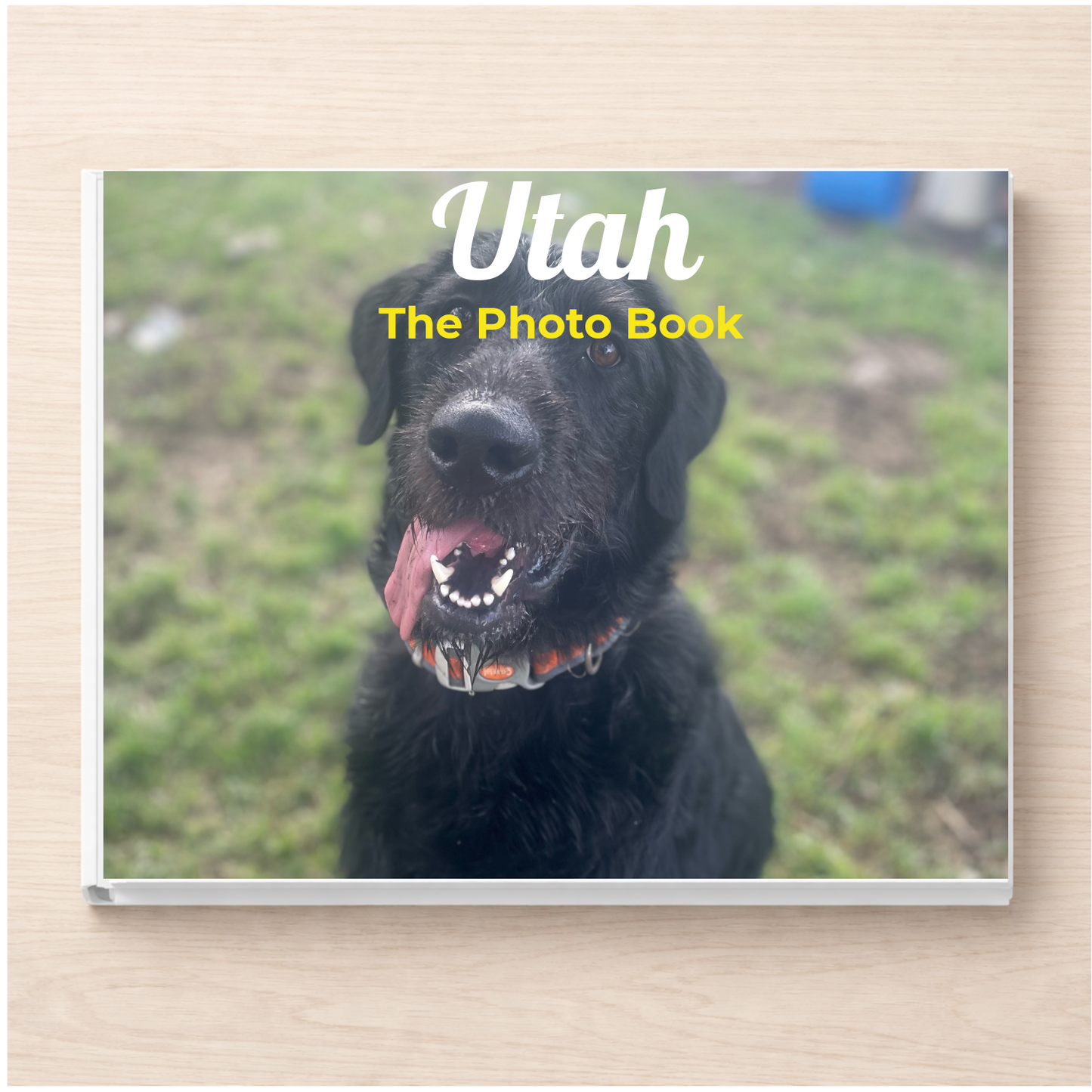 Utah: The Photo Book
