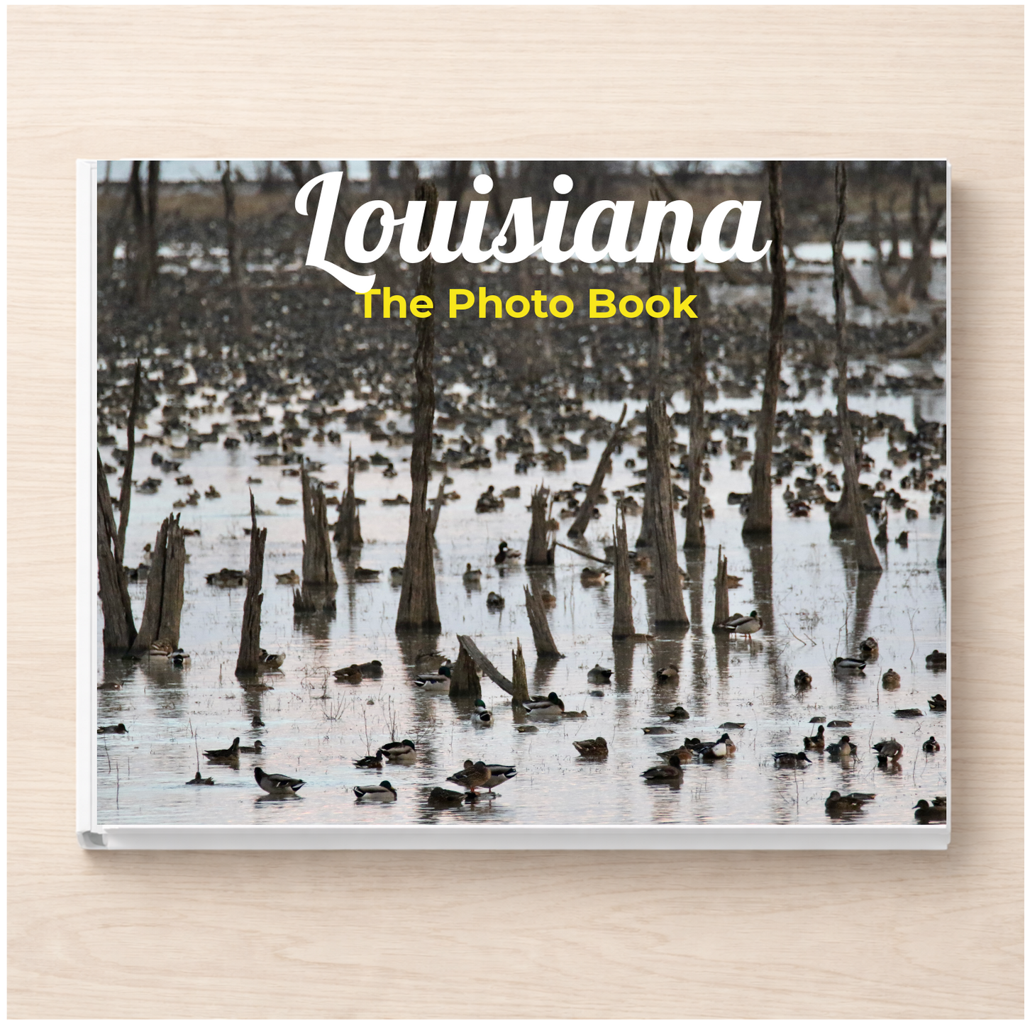 Louisiana: The Photo Book