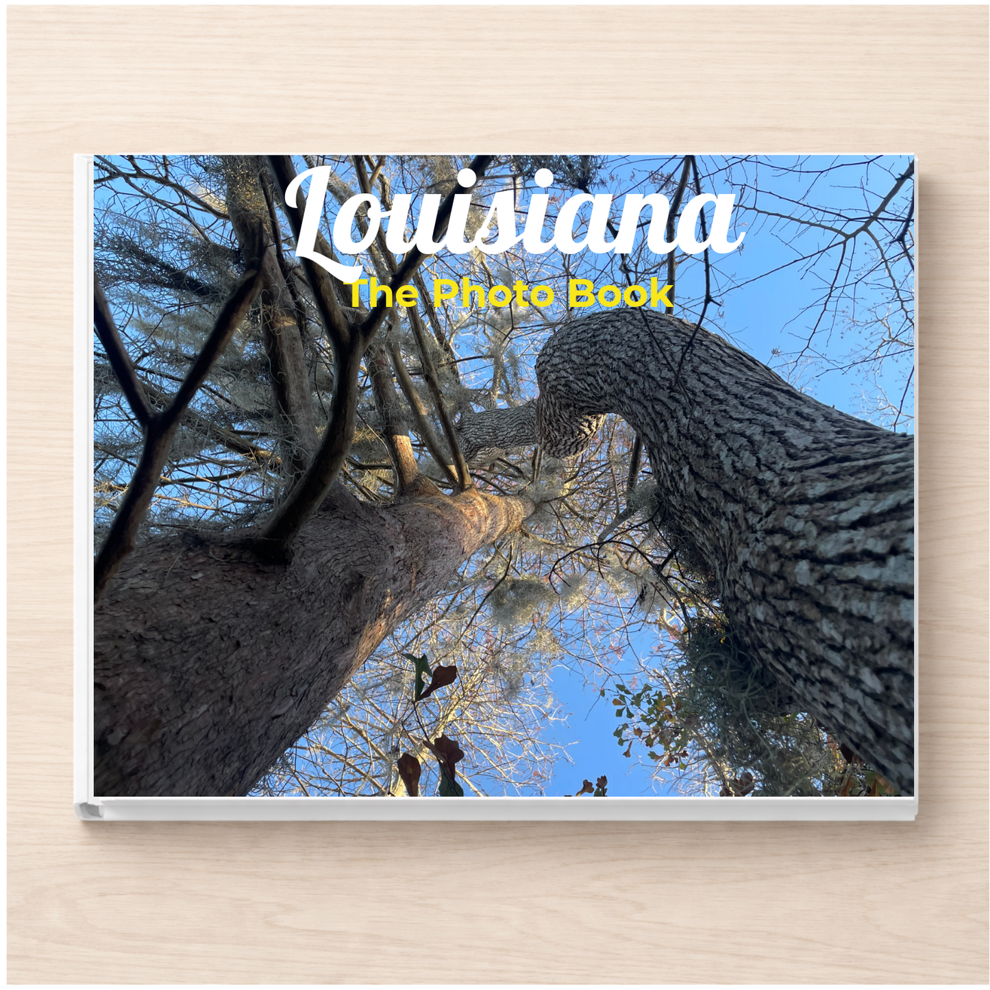 Louisiana: The Photo Book