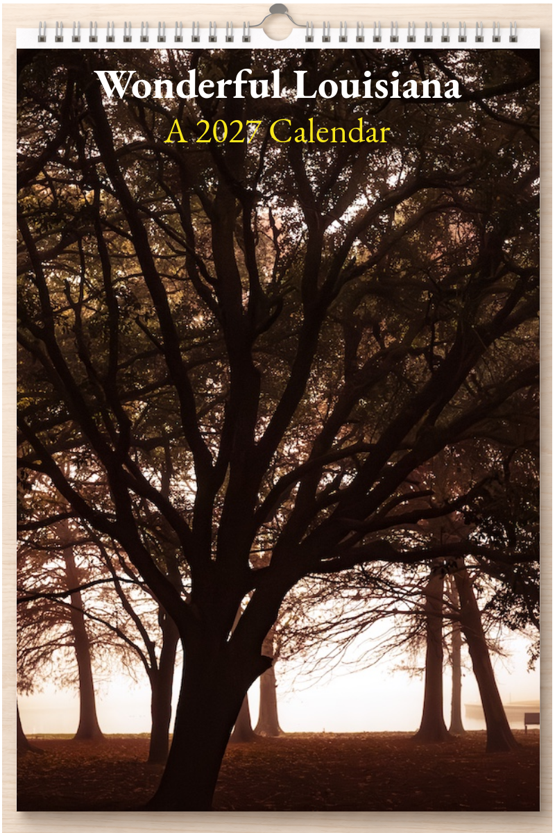 Wonderful Louisiana: A 2027 Calendar