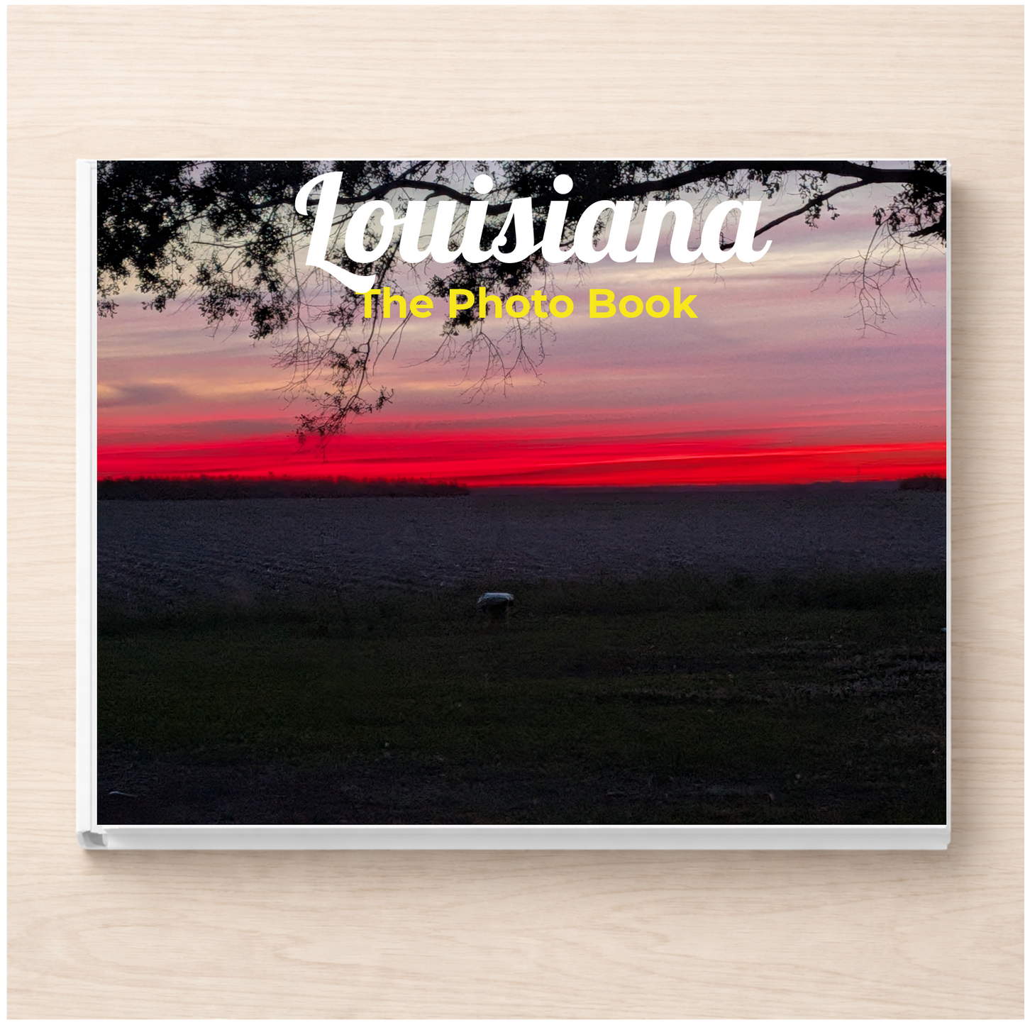 Louisiana: The Photo Book