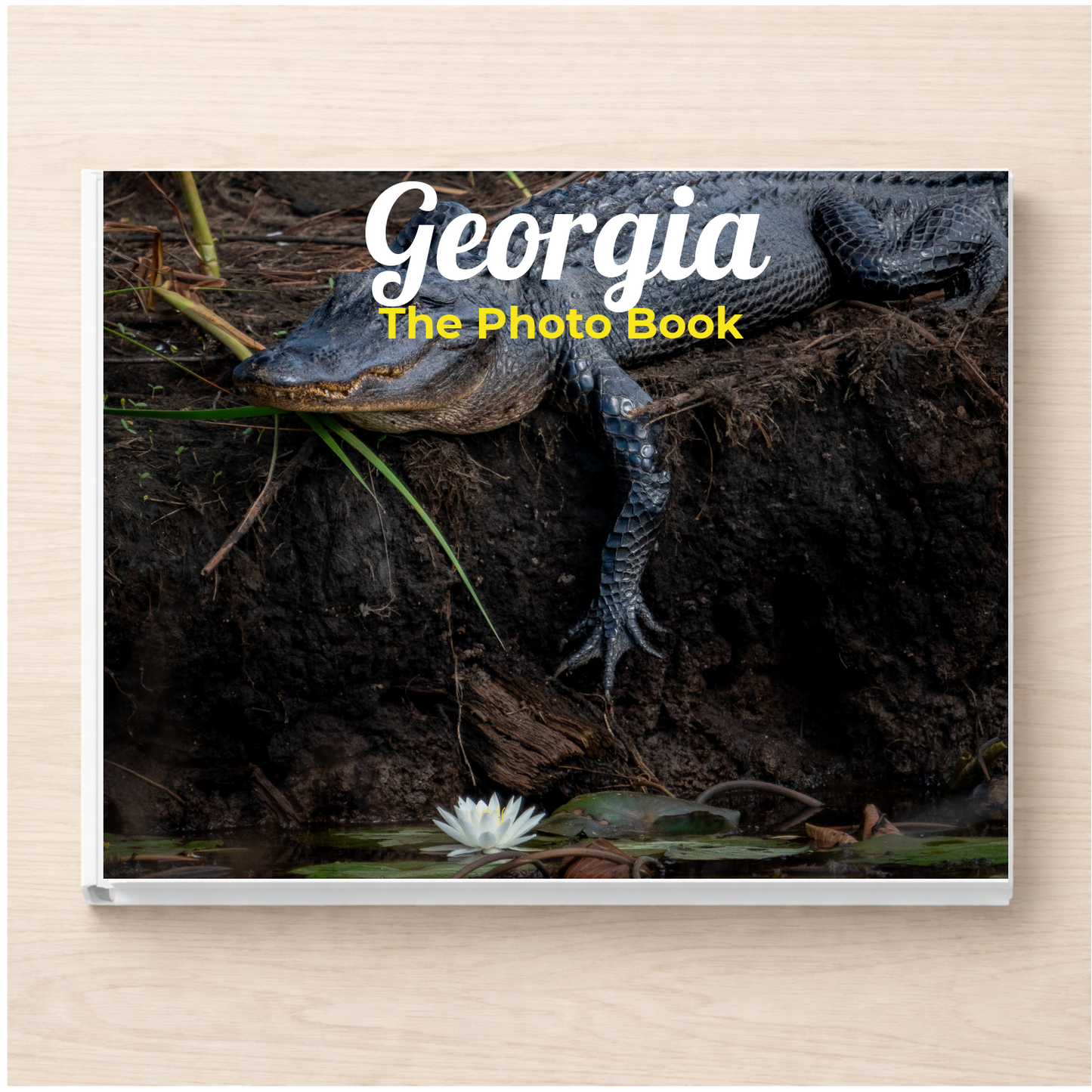 Georgia: The Photo Book