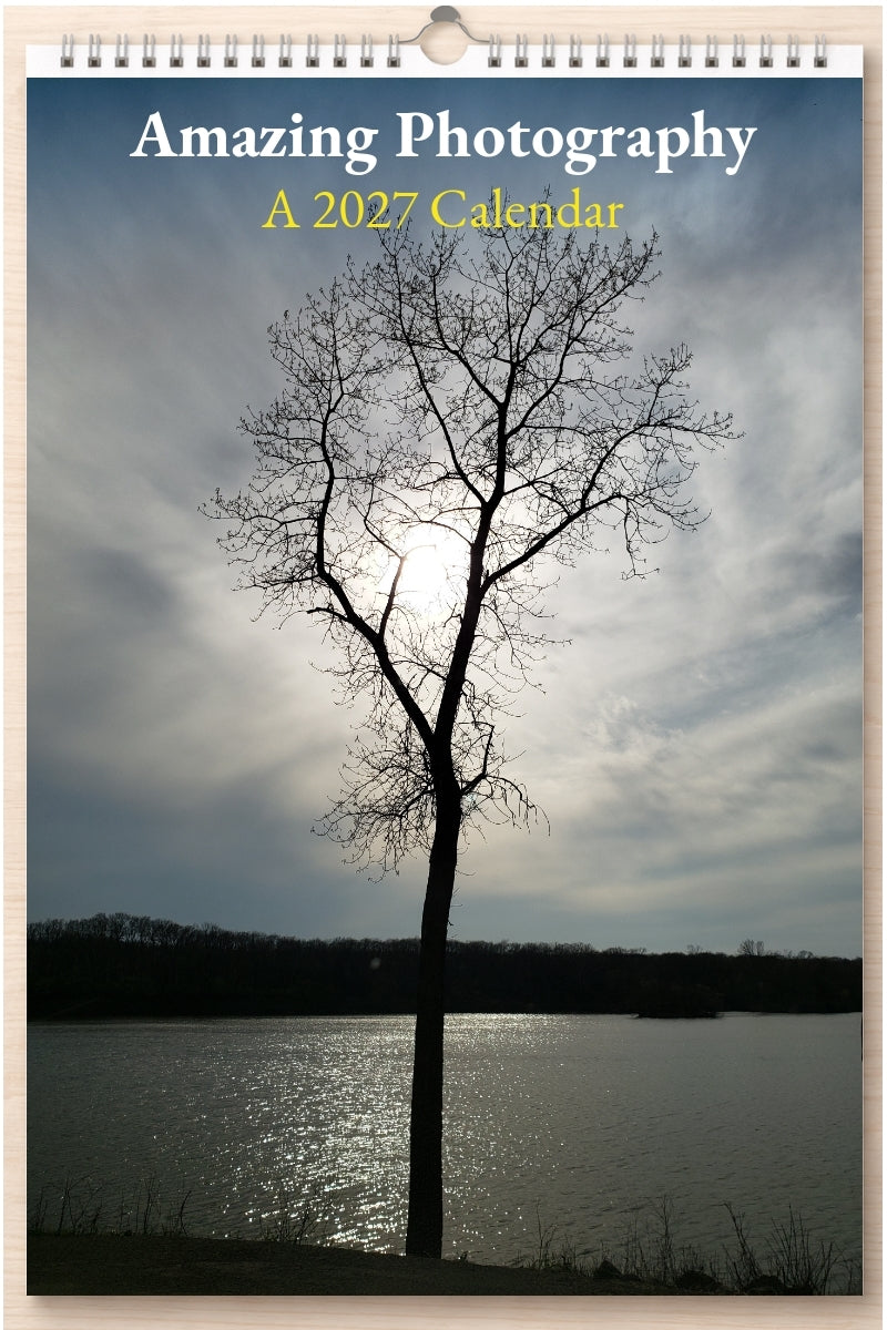 Amazing Photography: A 2027 Calendar