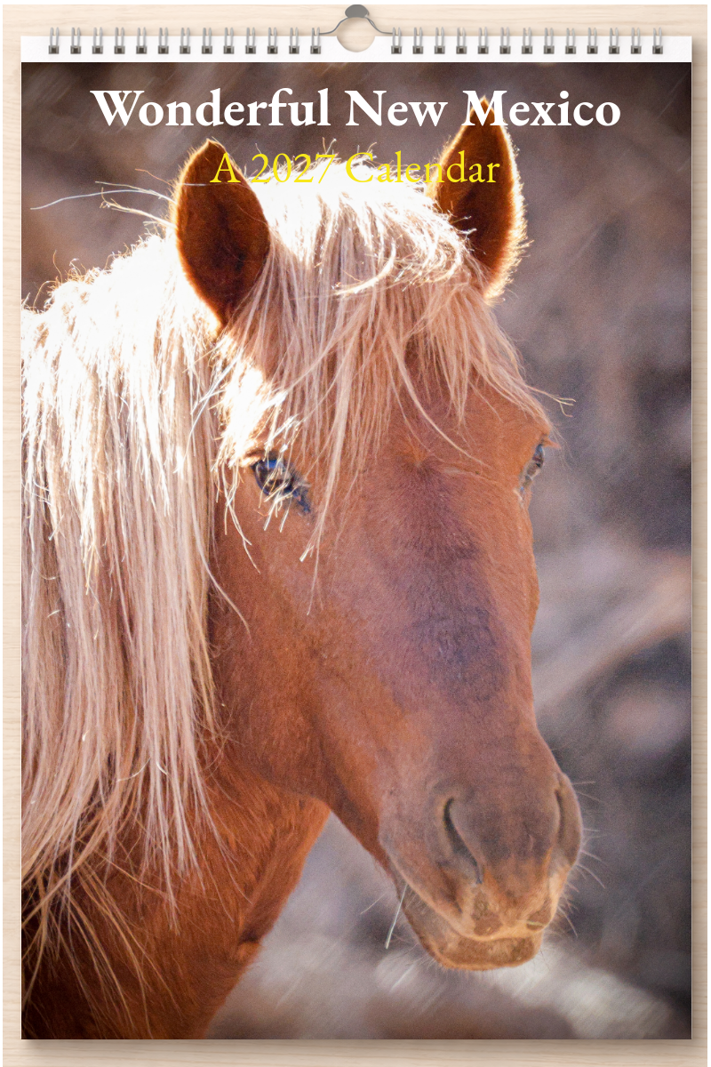 Wonderful New Mexico: A 2027 Calendar