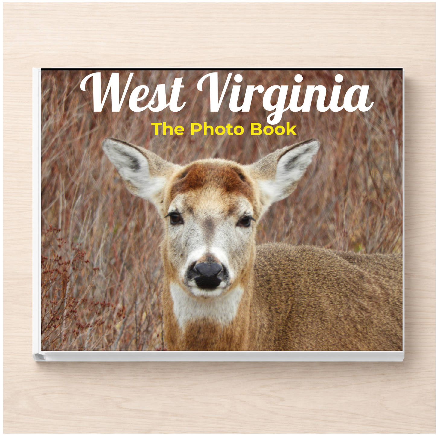 West Virginia: The Photo Book