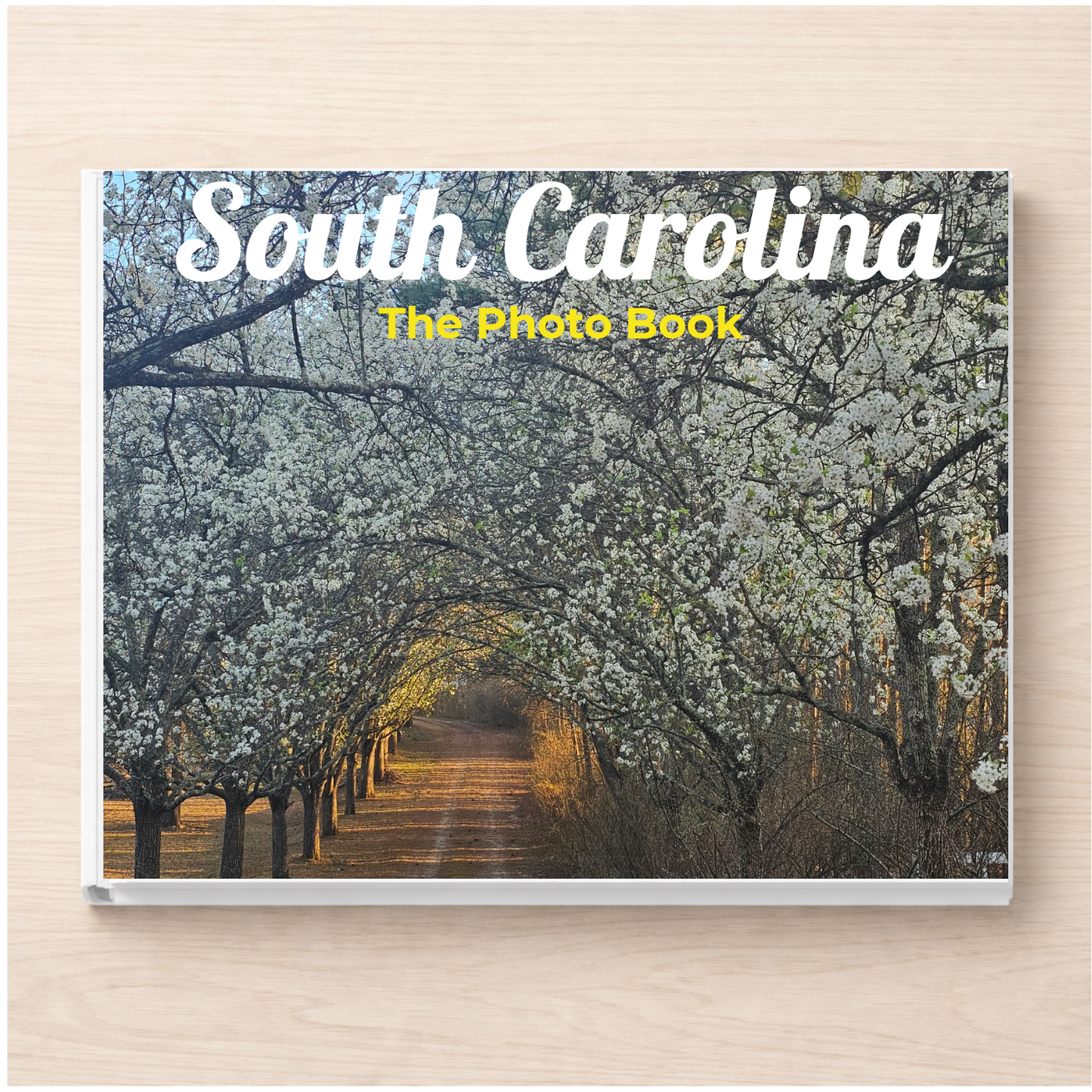 South Carolina: The Photo Book