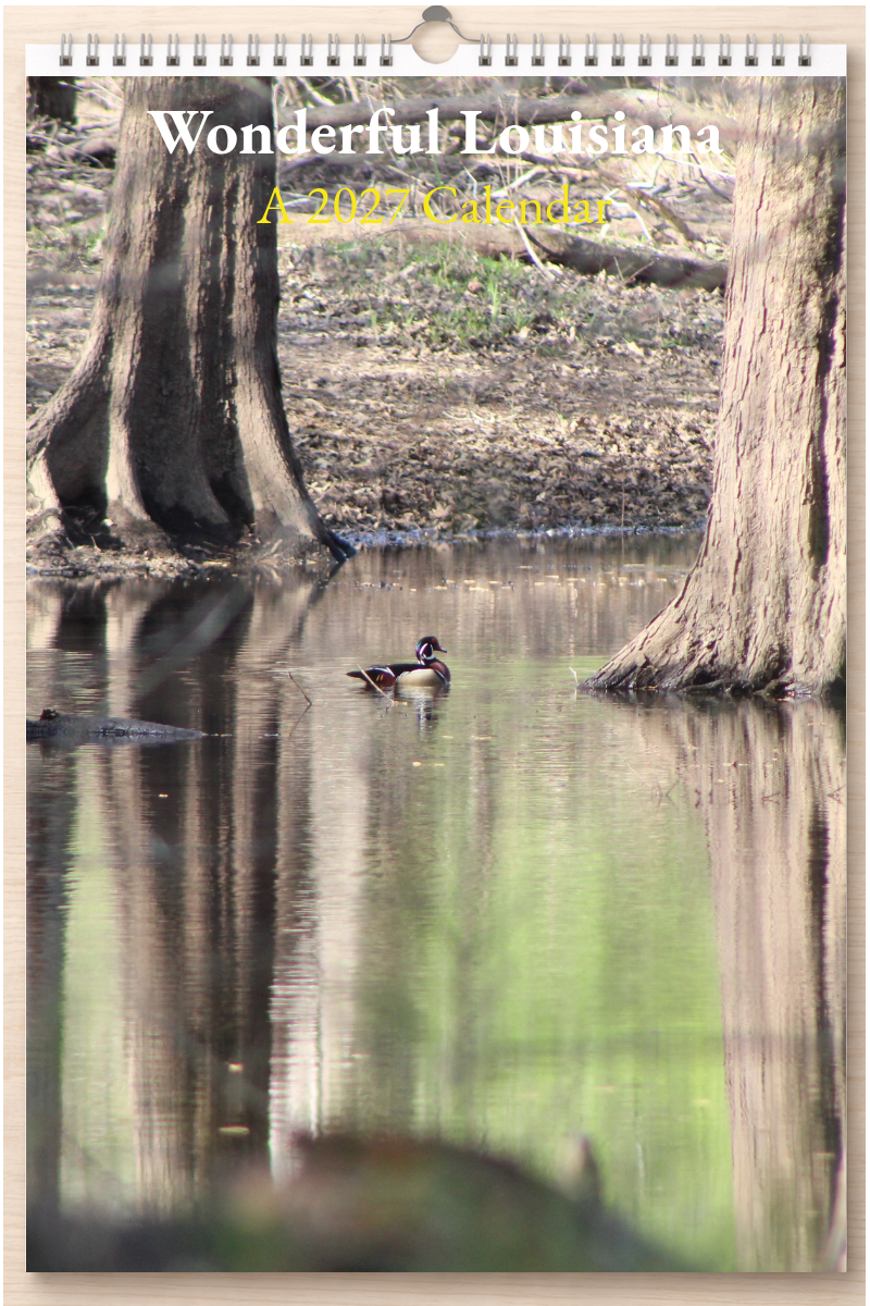 Wonderful Louisiana: A 2027 Calendar
