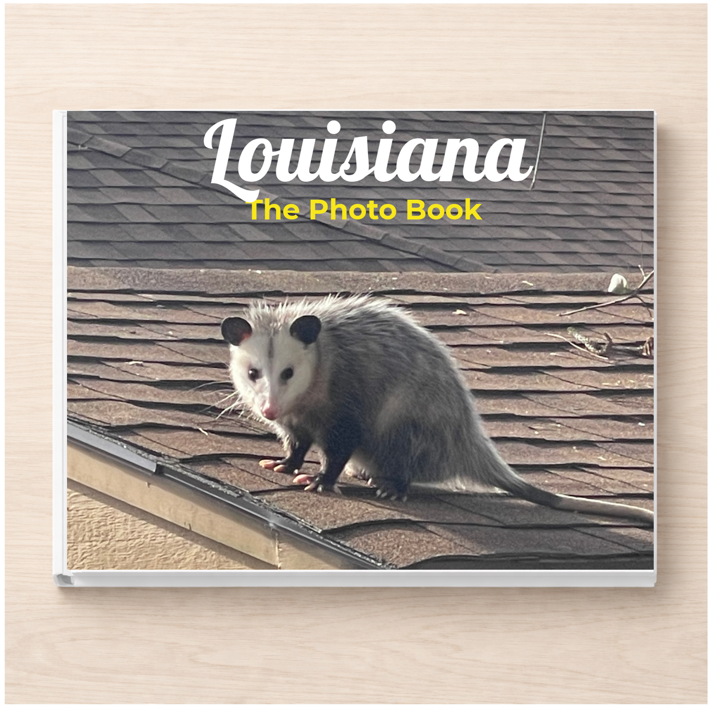 Louisiana: The Photo Book