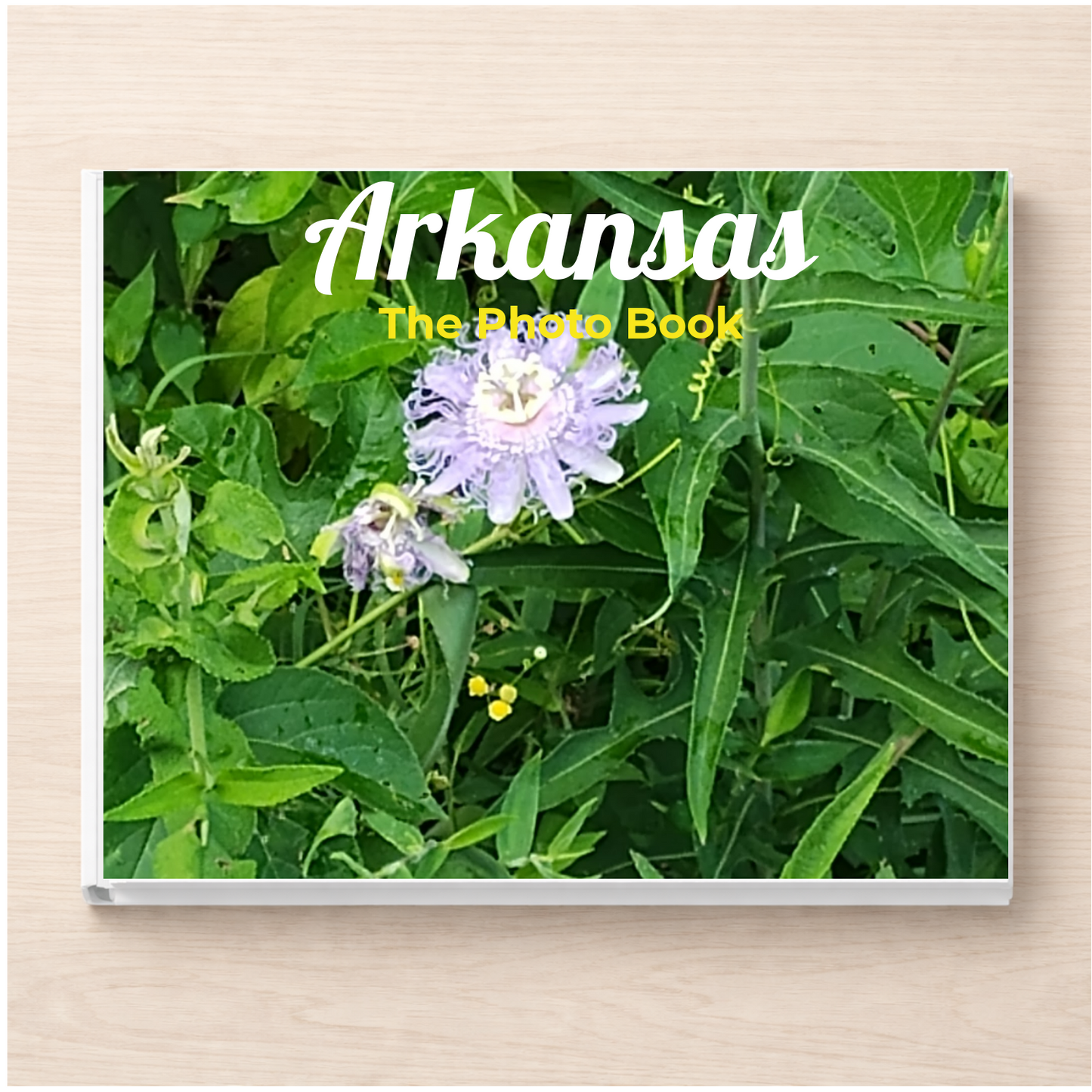 Arkansas: The Photo Book