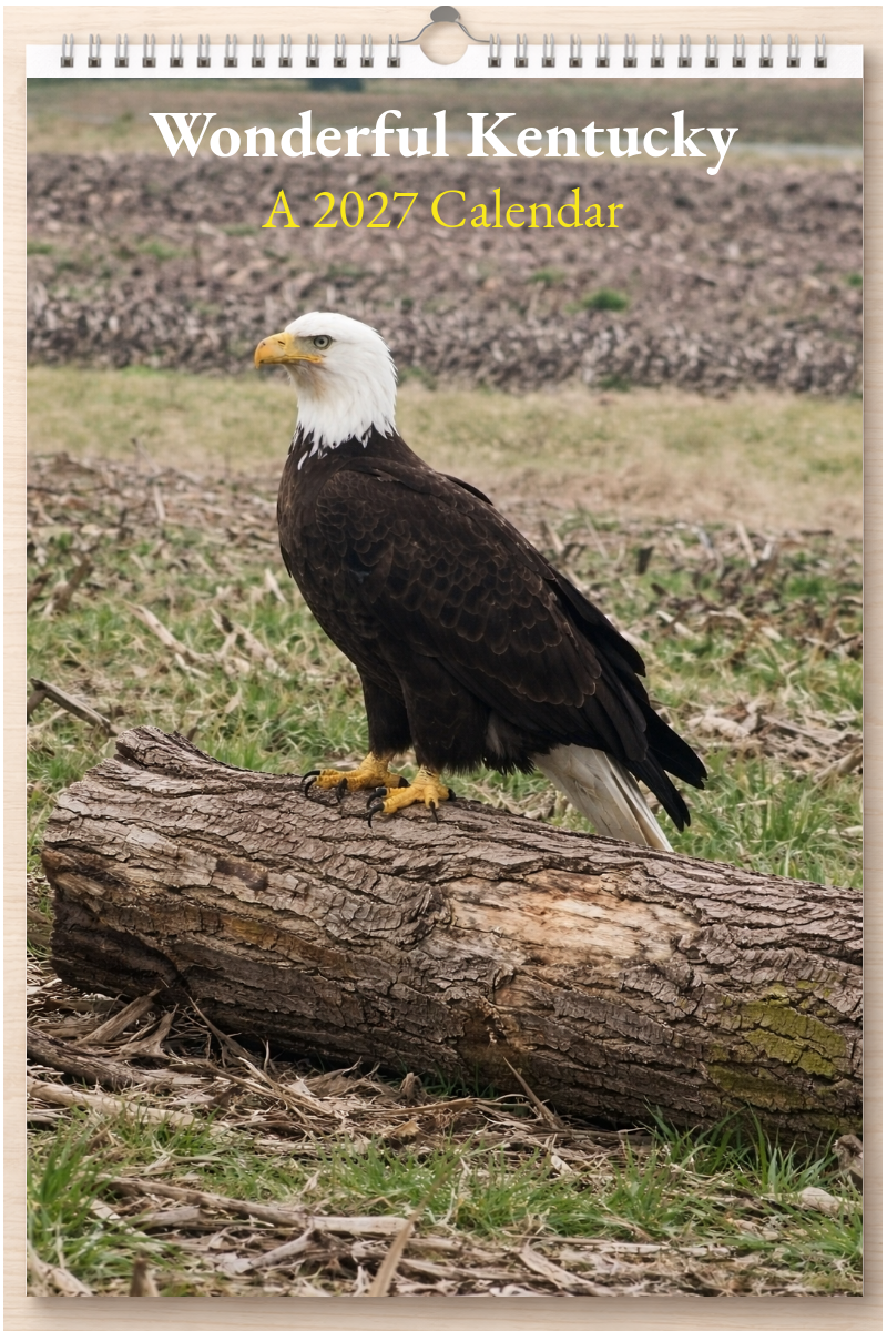 Wonderful Kentucky: A 2027 Calendar