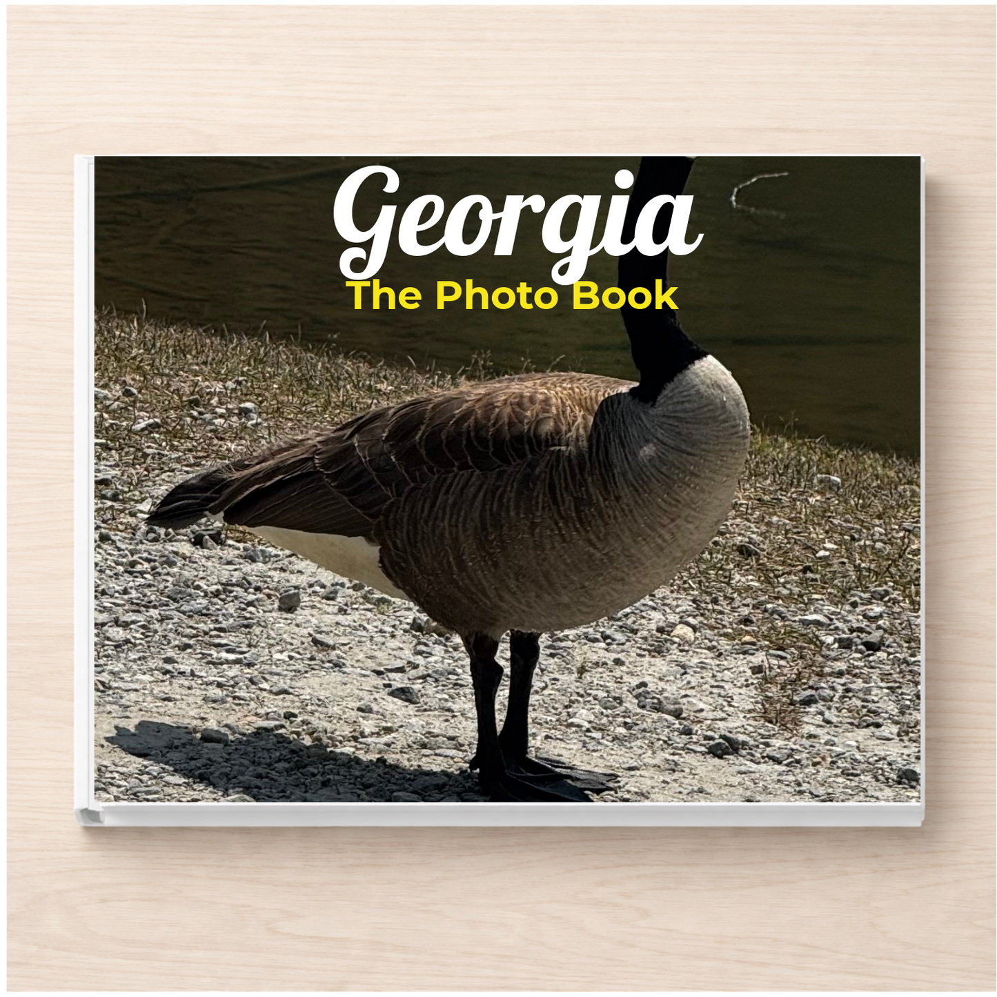 Georgia: The Photo Book