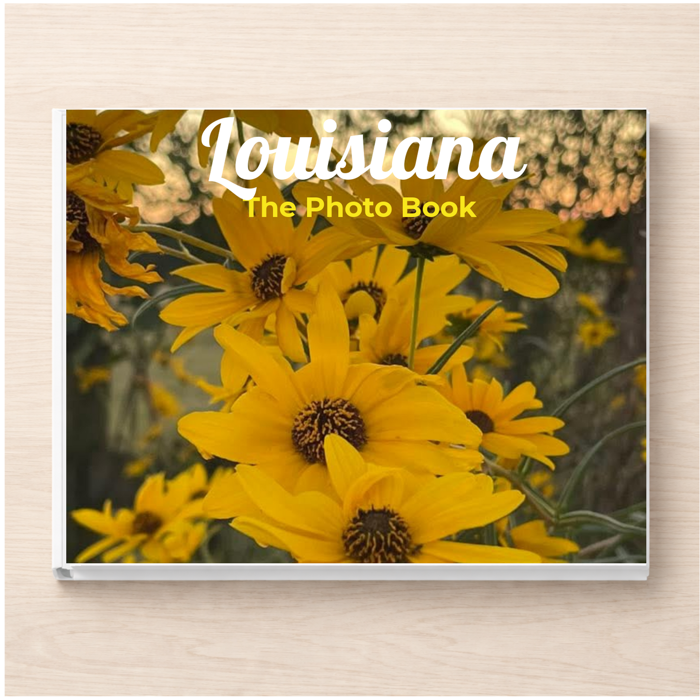 Louisiana: The Photo Book