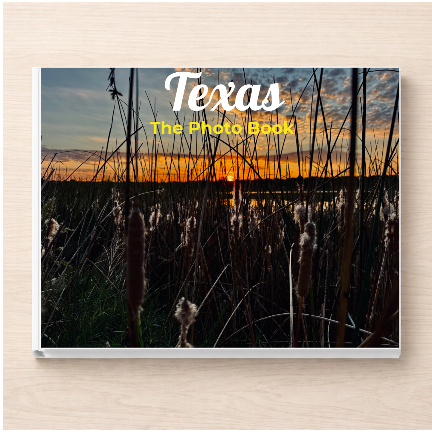 Texas: The Photo Book