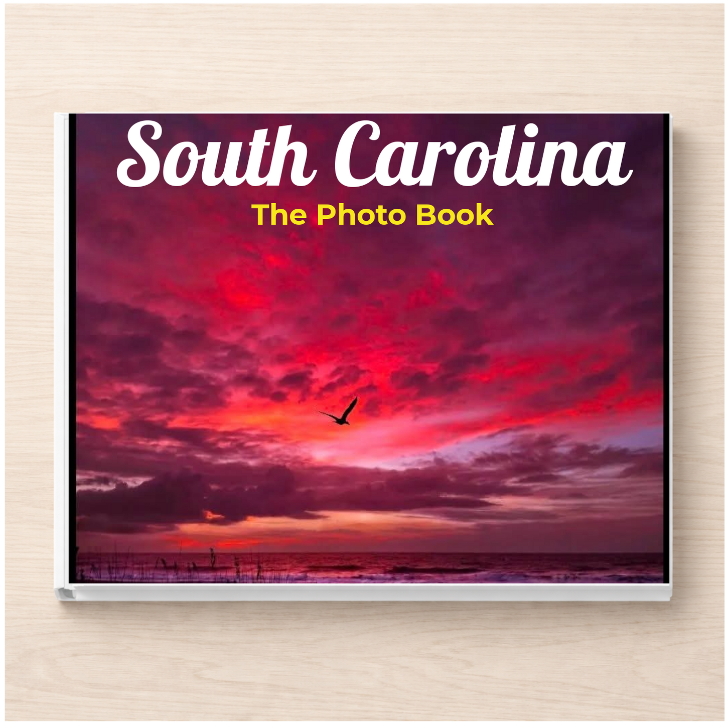 South Carolina: The Photo Book