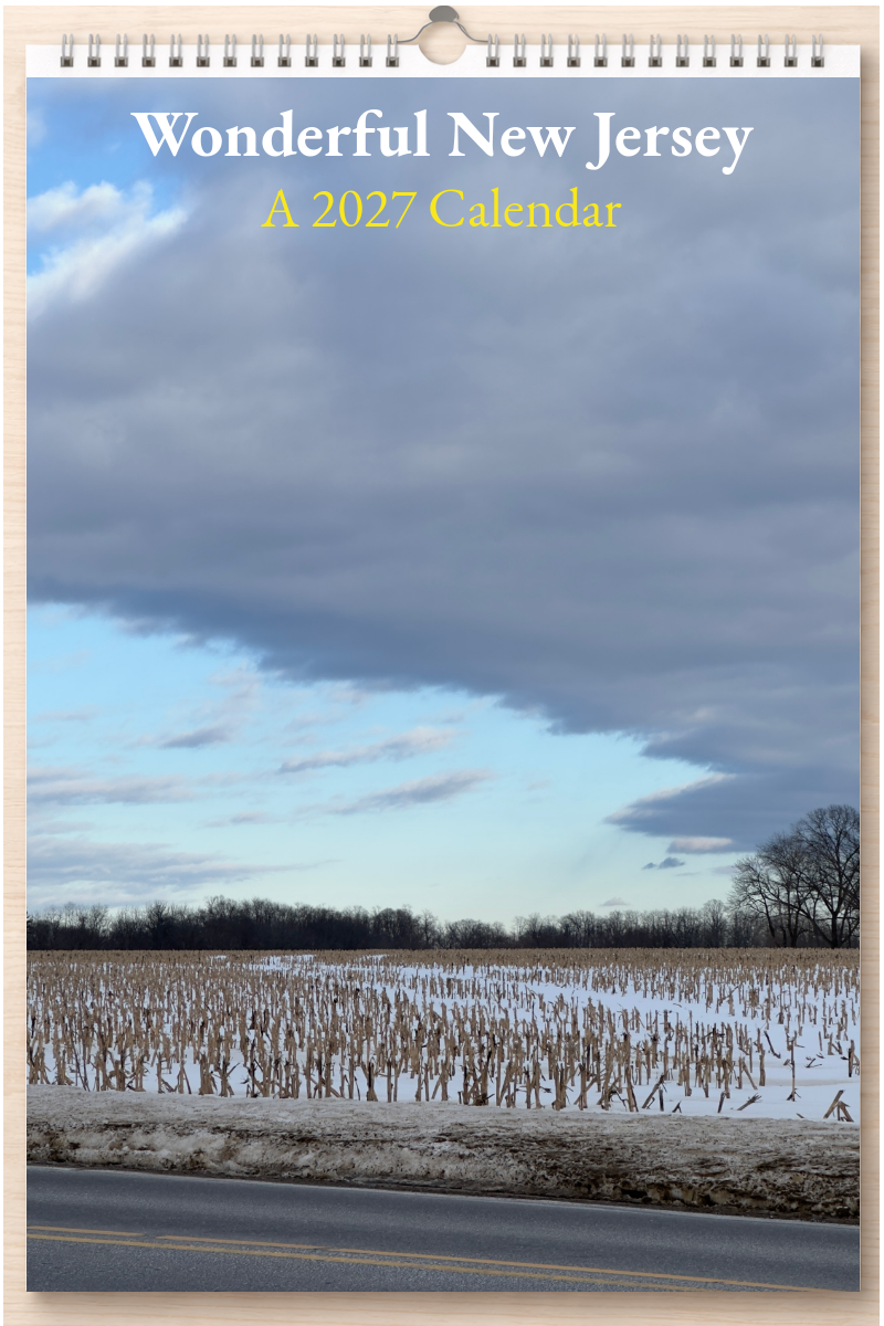 Wonderful New Jersey: A 2027 Calendar