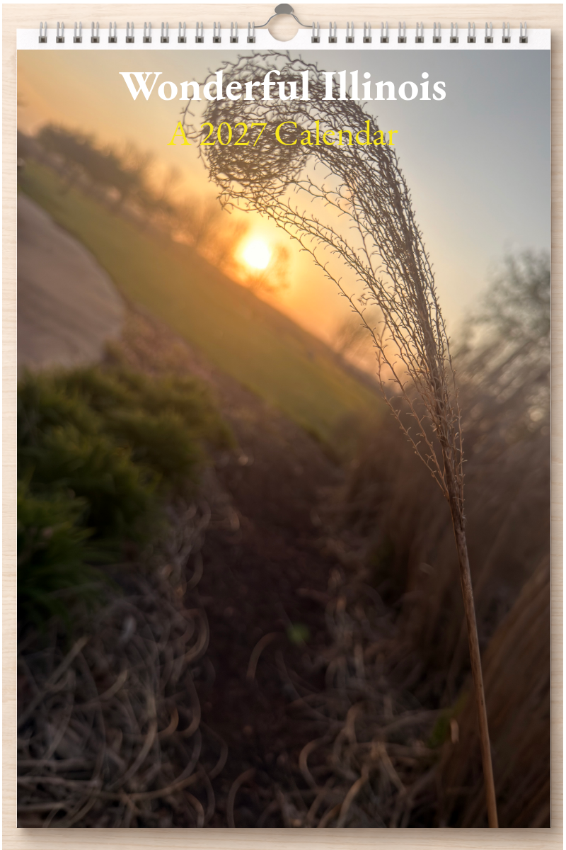 Wonderful Illinois: A 2027 Calendar