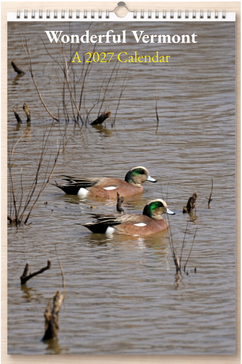 Wonderful Vermont: A 2027 Calendar