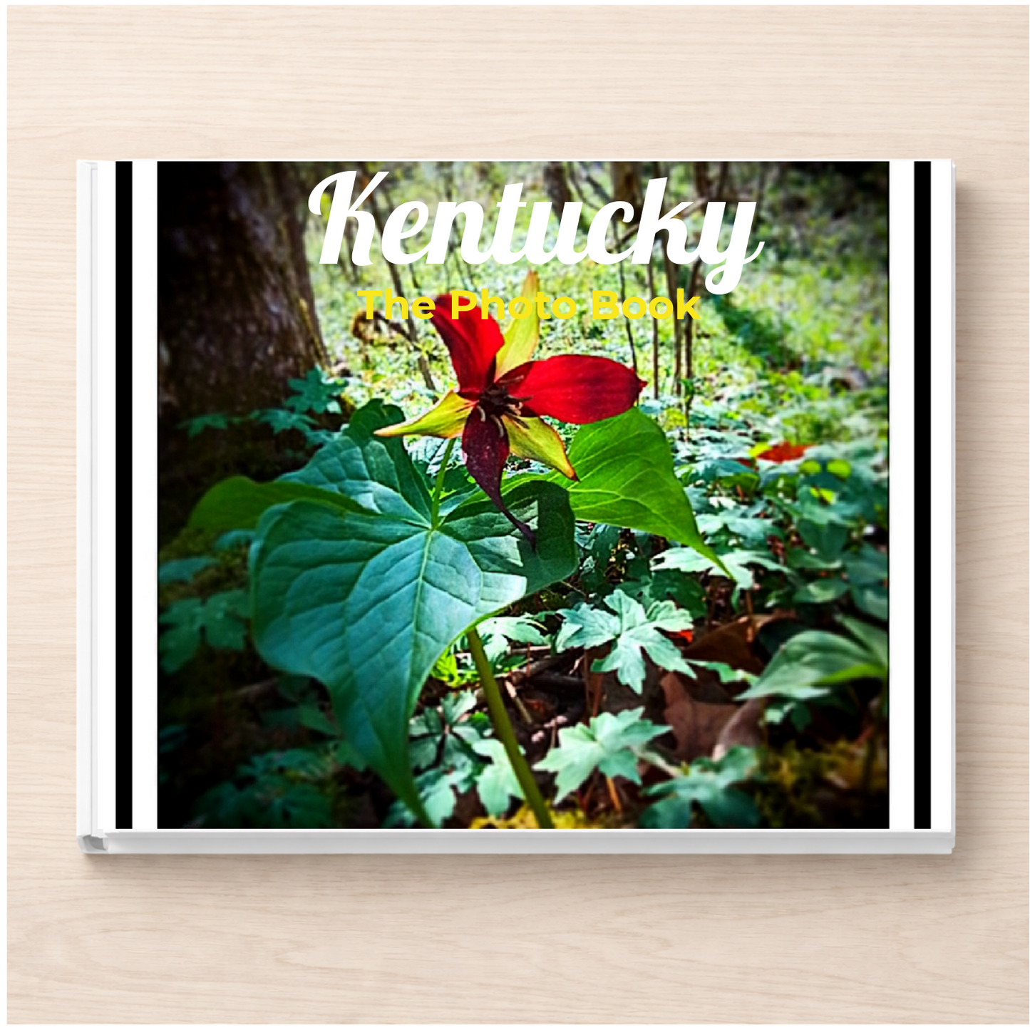 Kentucky: The Photo Book