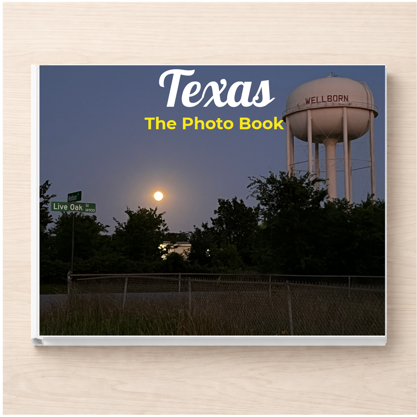 Texas: The Photo Book