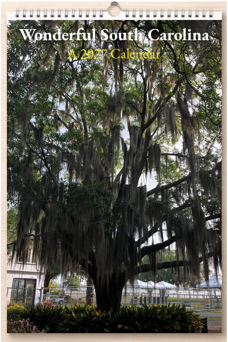 Wonderful South Carolina: A 2027 Calendar