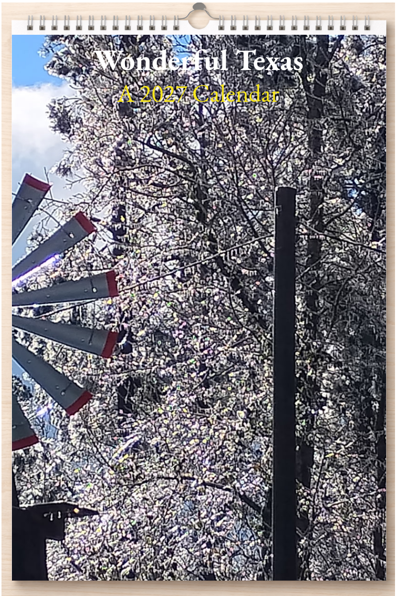 Wonderful Texas: A 2027 Calendar