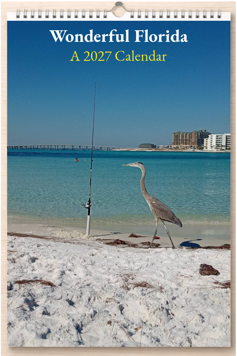 Wonderful Florida: A 2027 Calendar