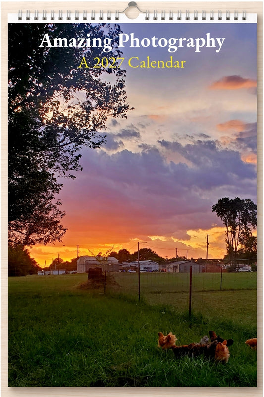 Amazing Photography: A 2027 Calendar