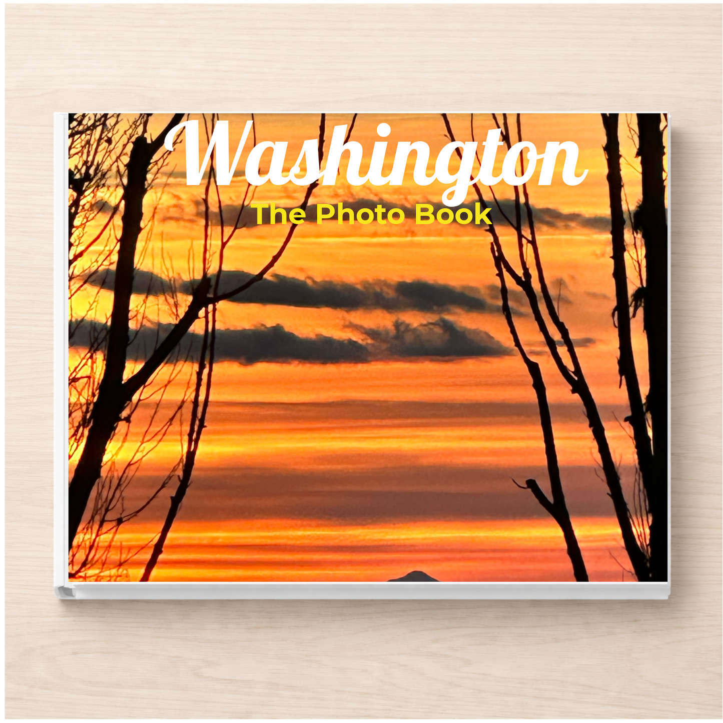 Washington: The Photo Book