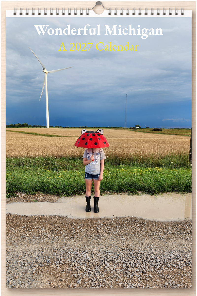 Wonderful Michigan: A 2027 Calendar