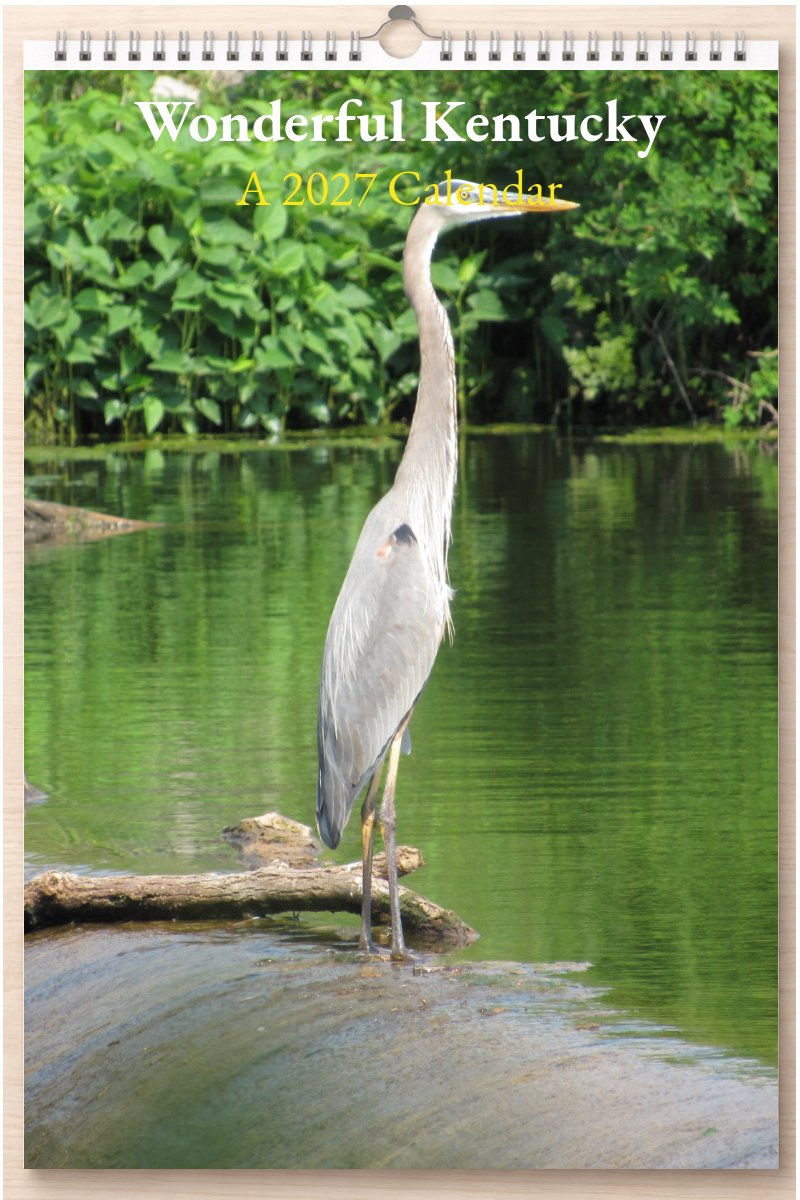 Wonderful Kentucky: A 2027 Calendar