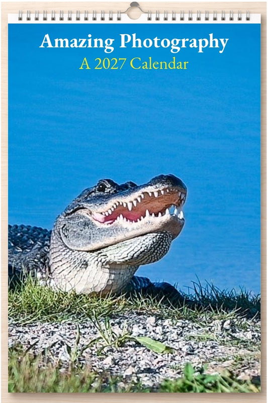 Amazing Photography: A 2027 Calendar