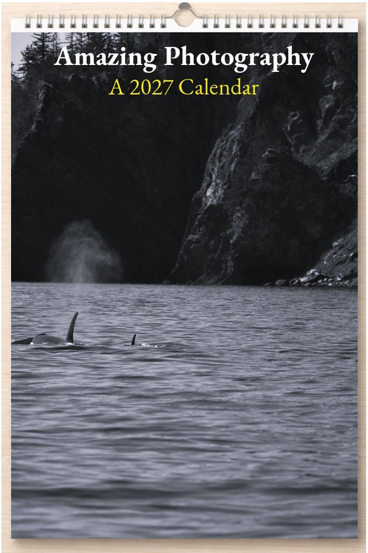 Amazing Photography: A 2027 Calendar