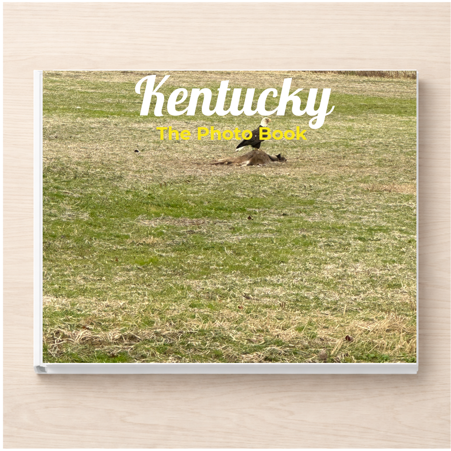 Kentucky: The Photo Book