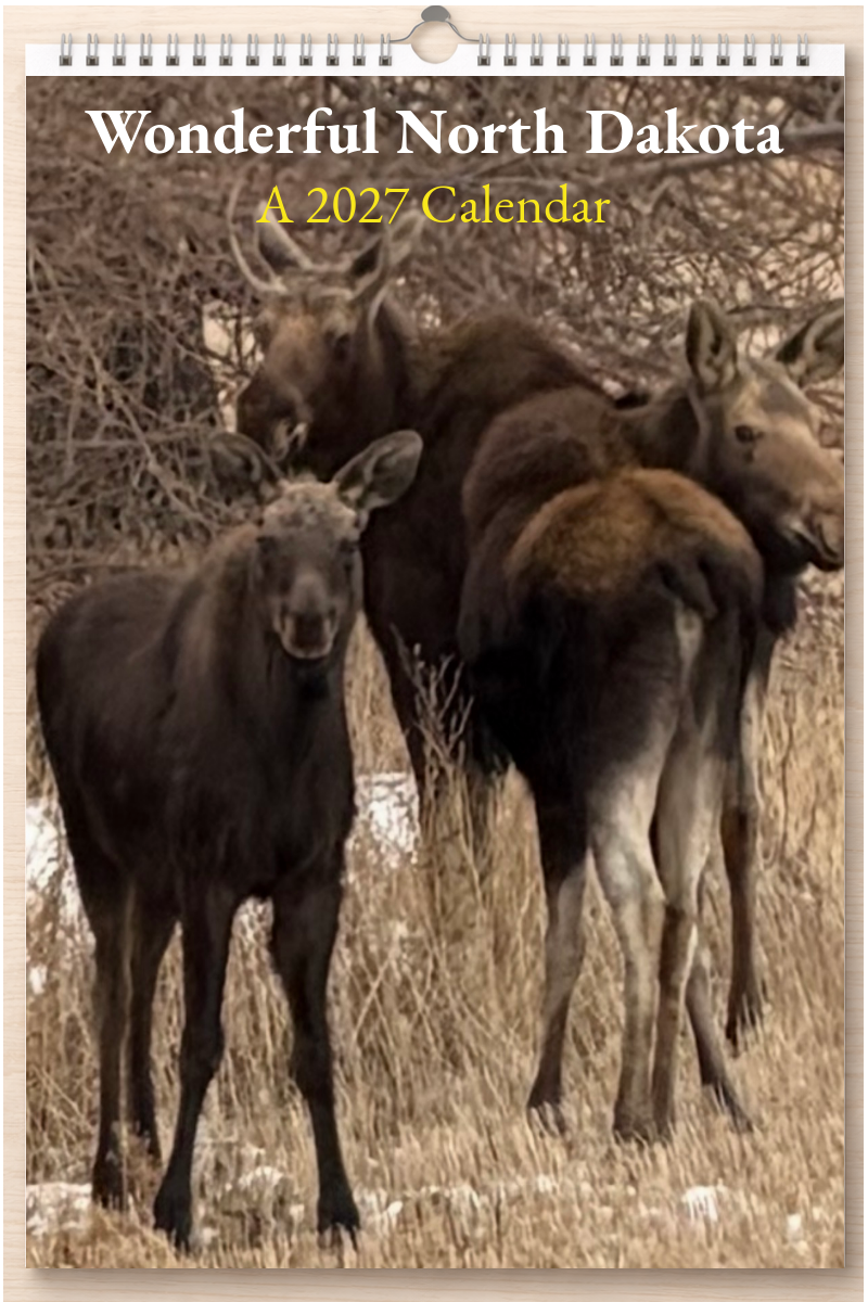 Wonderful North Dakota: A 2027 Calendar