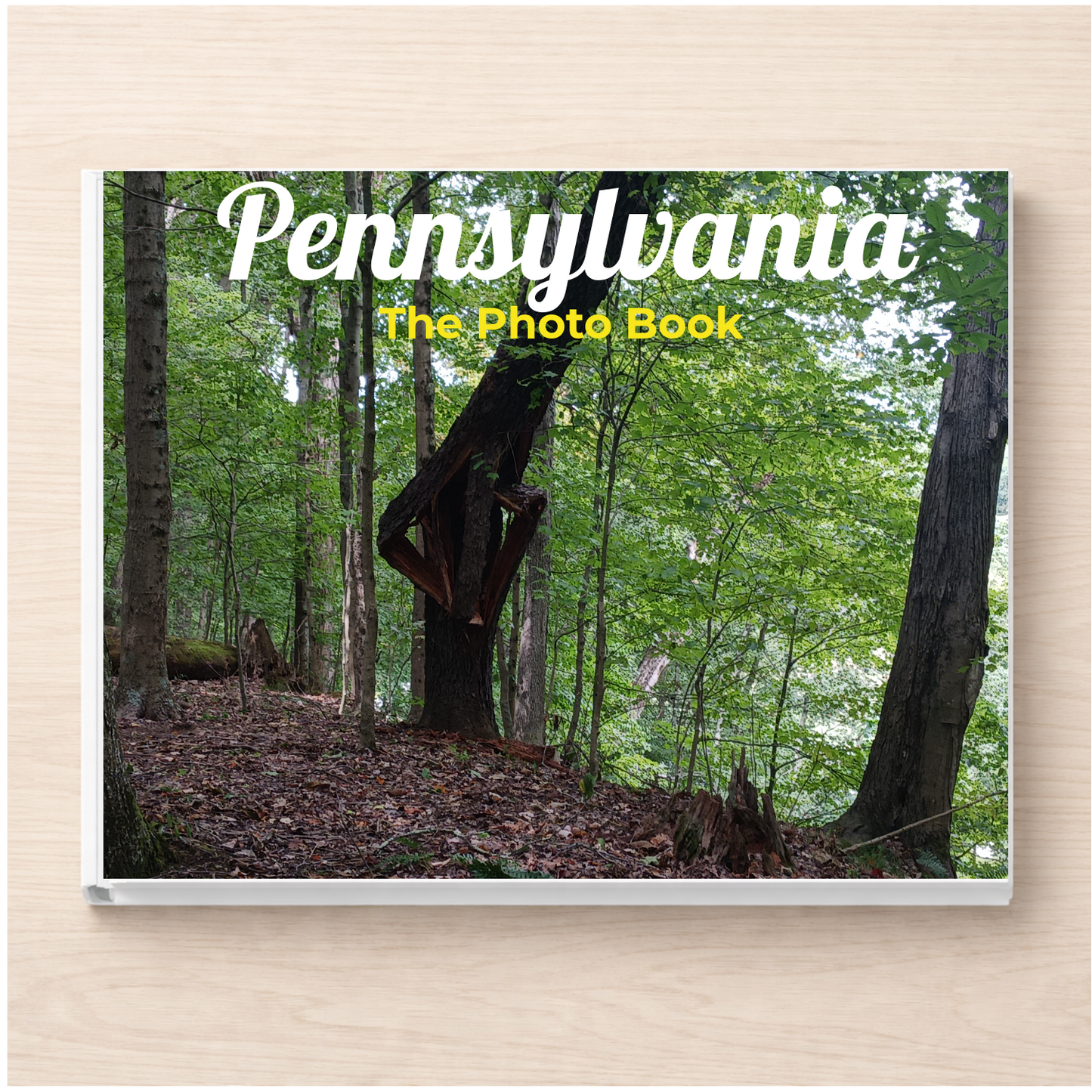 Pennsylvania: The Photo Book