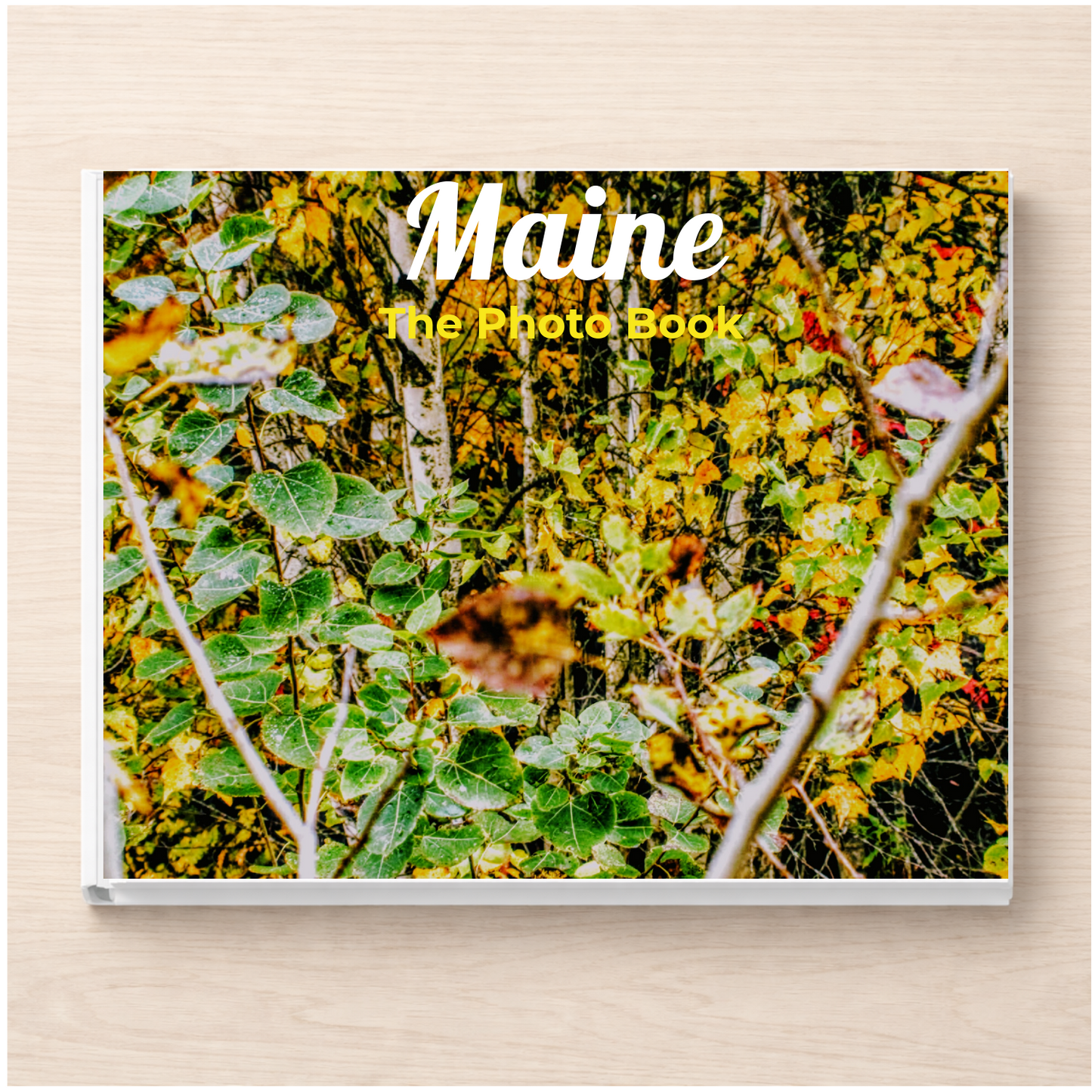 Maine: The Photo Book