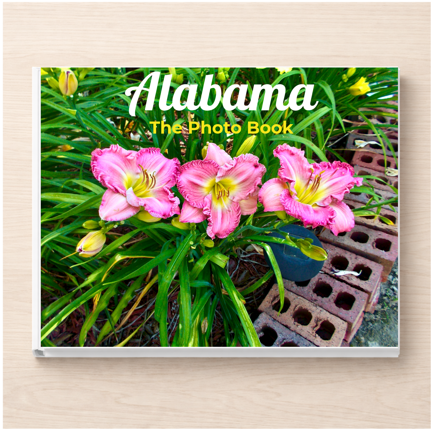 Alabama: The Photo Book