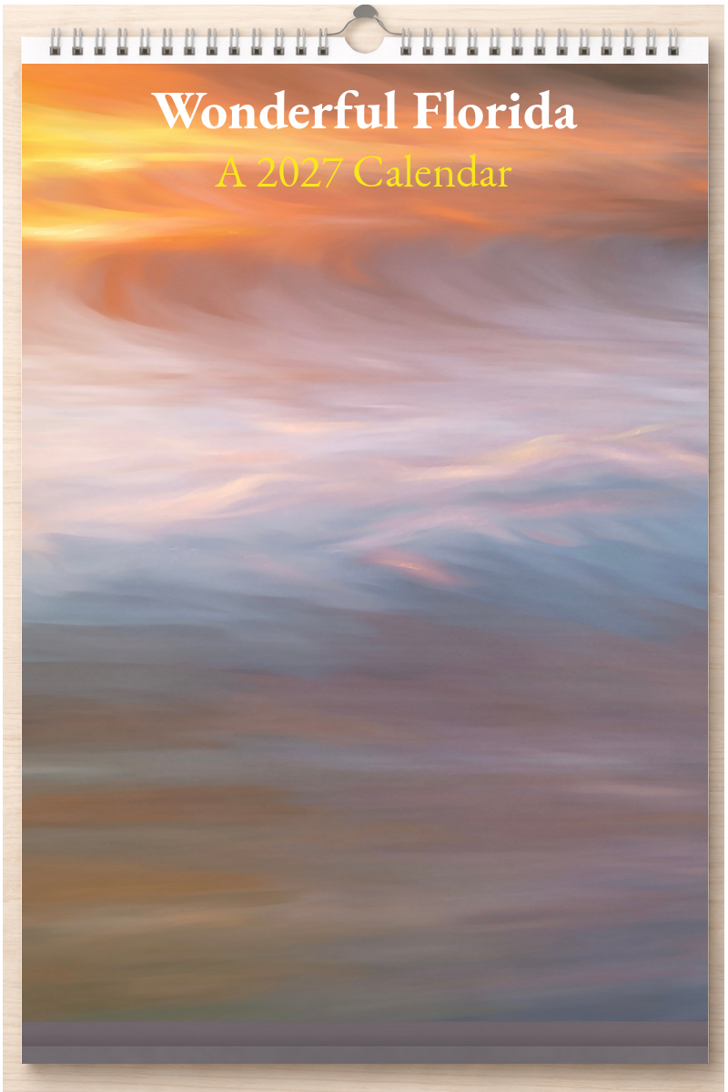 Wonderful Florida: A 2027 Calendar