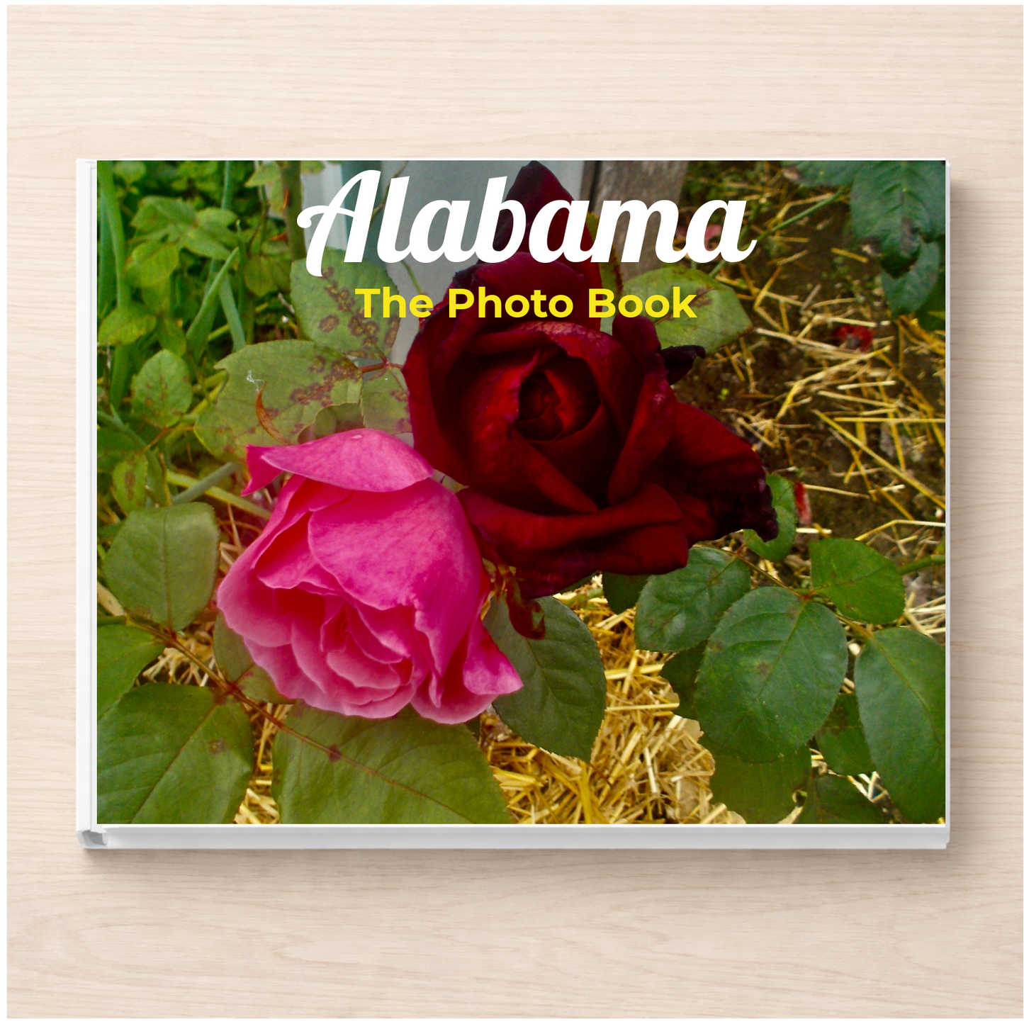 Alabama: The Photo Book