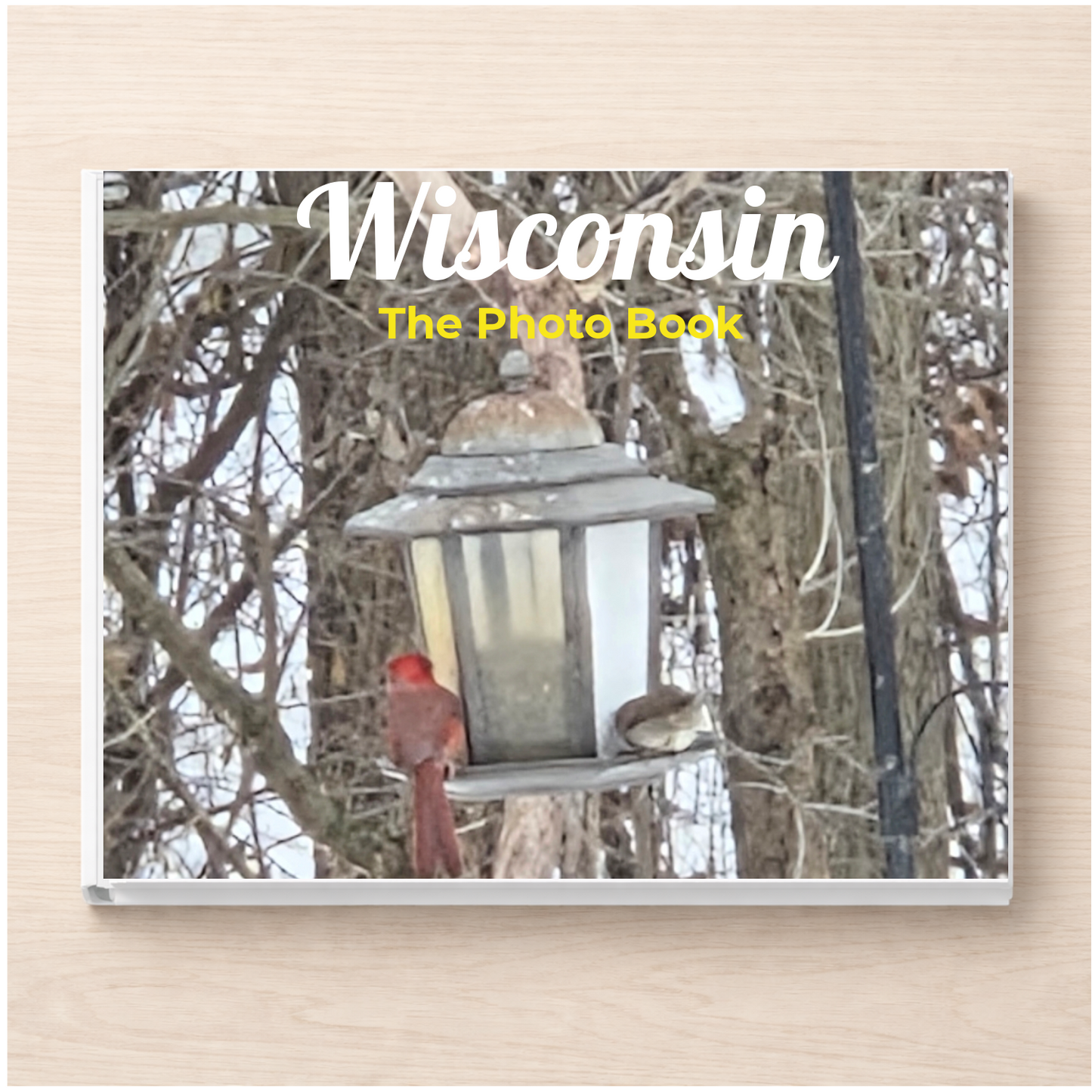 Wisconsin: The Photo Book
