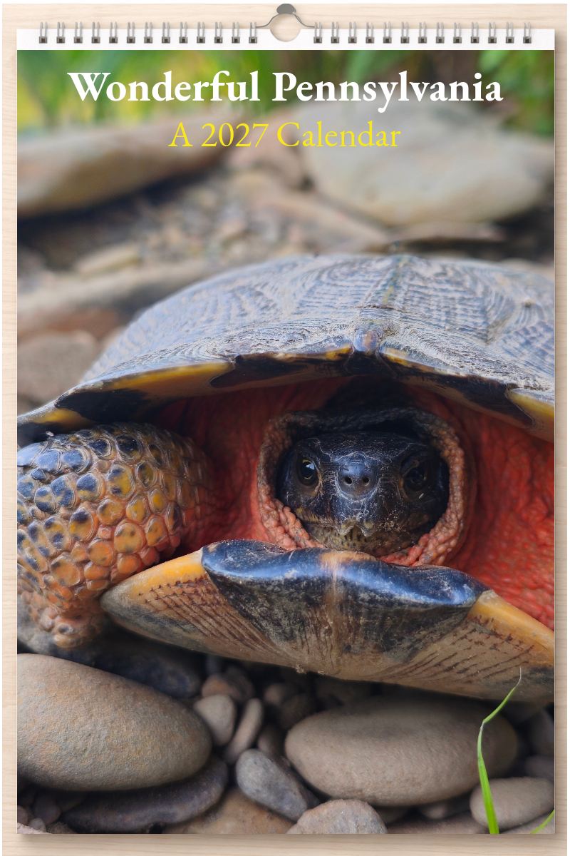 Wonderful Pennsylvania: A 2027 Calendar