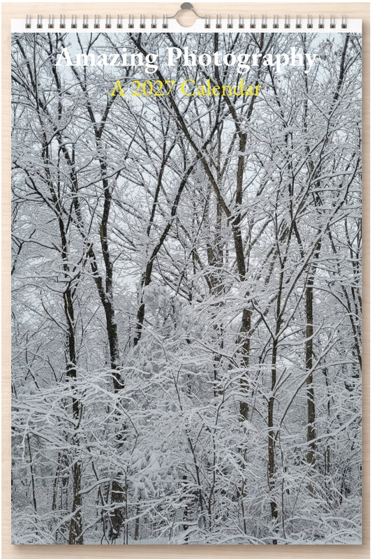 Amazing Photography: A 2027 Calendar