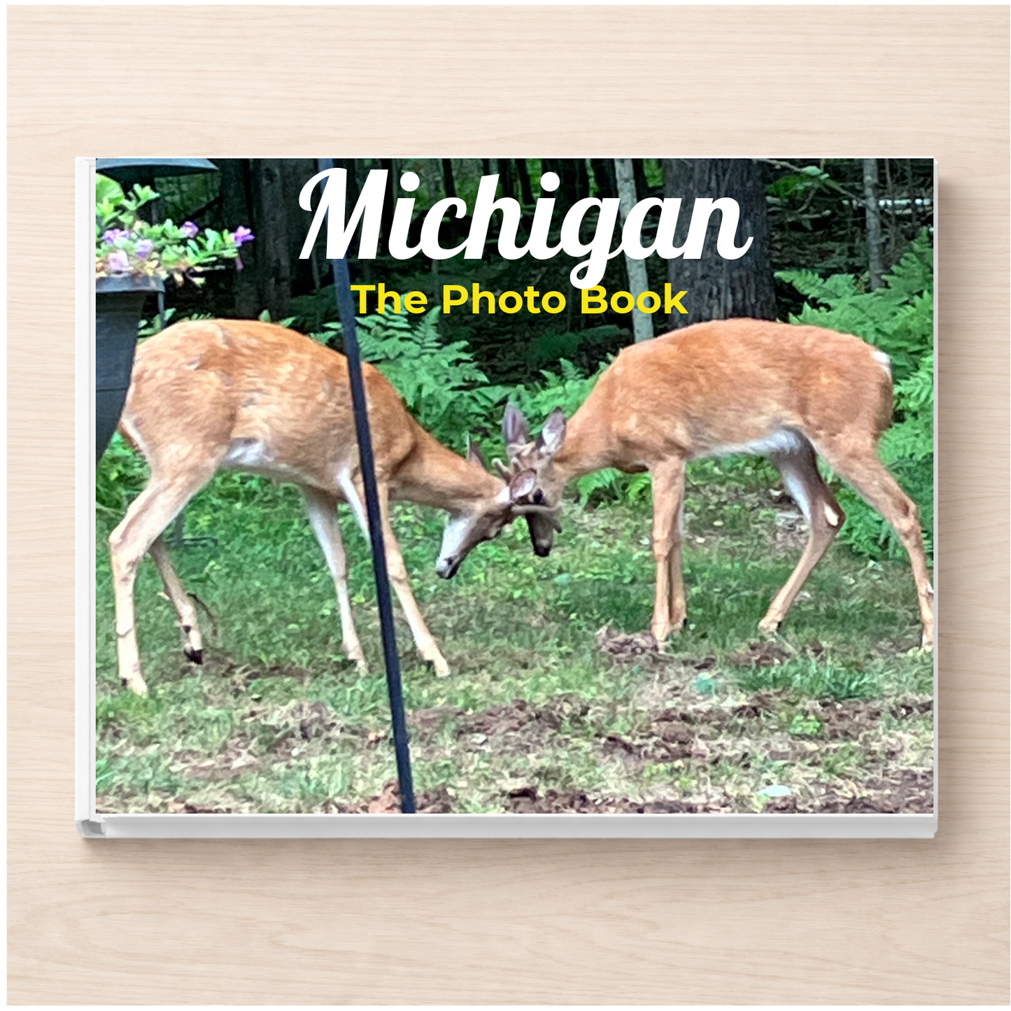 Michigan: The Photo Book