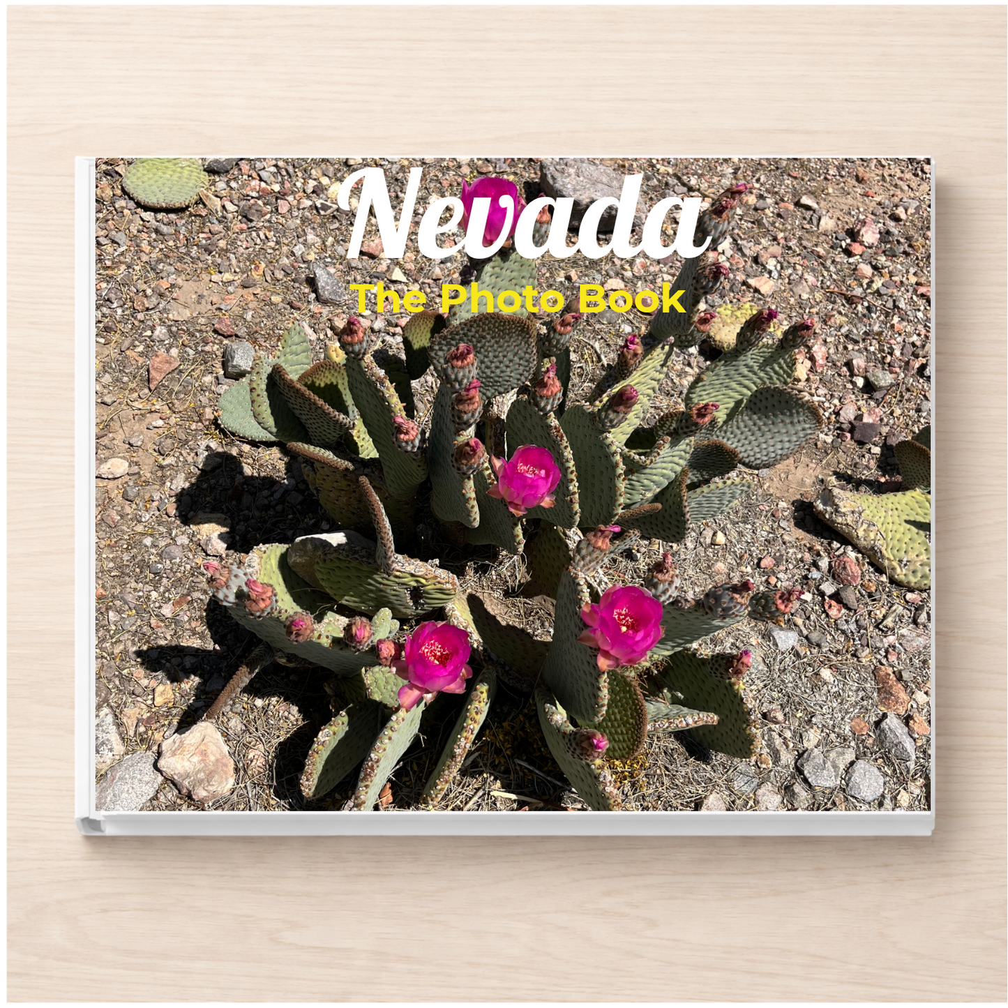 Nevada: The Photo Book
