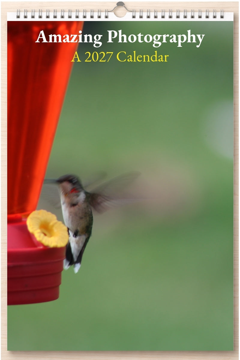 Amazing Photography: A 2027 Calendar