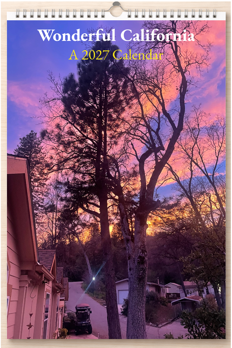 Wonderful California: A 2027 Calendar