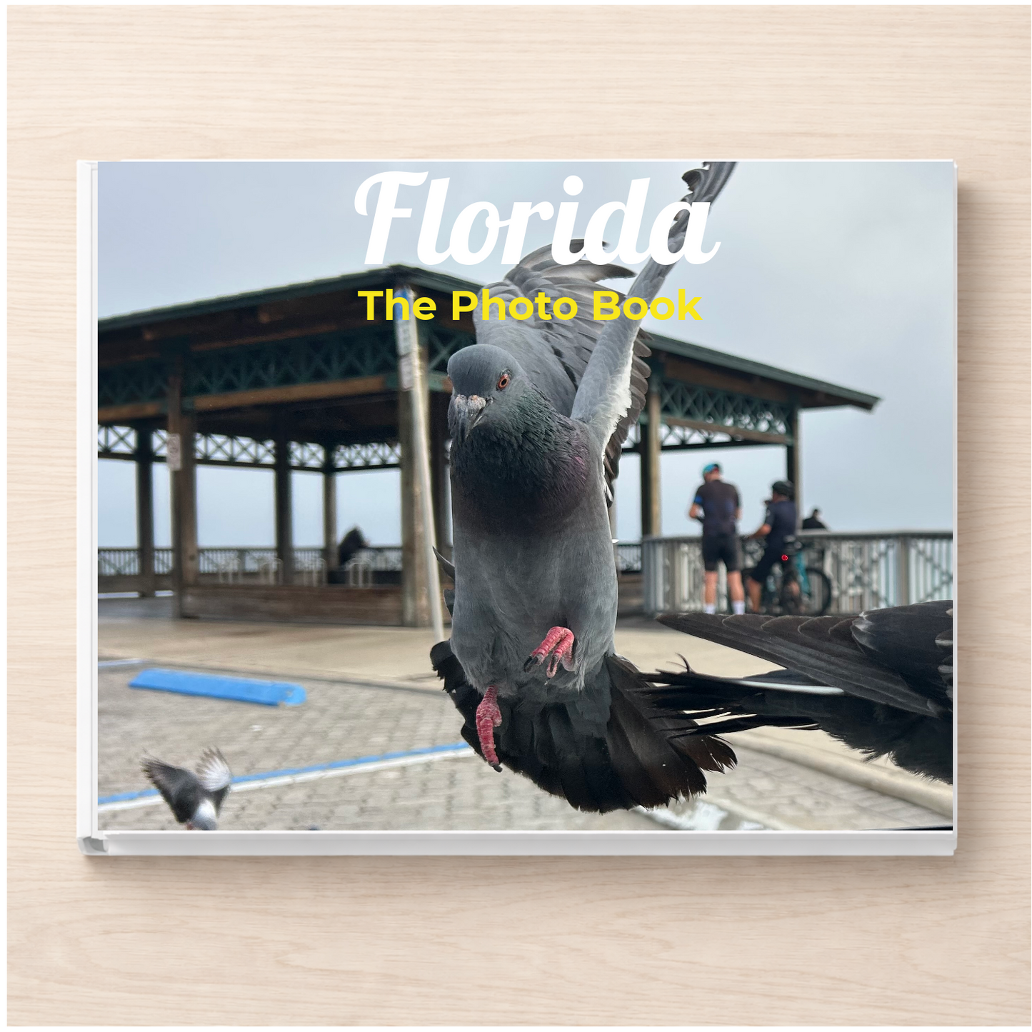 Florida: The Photo Book