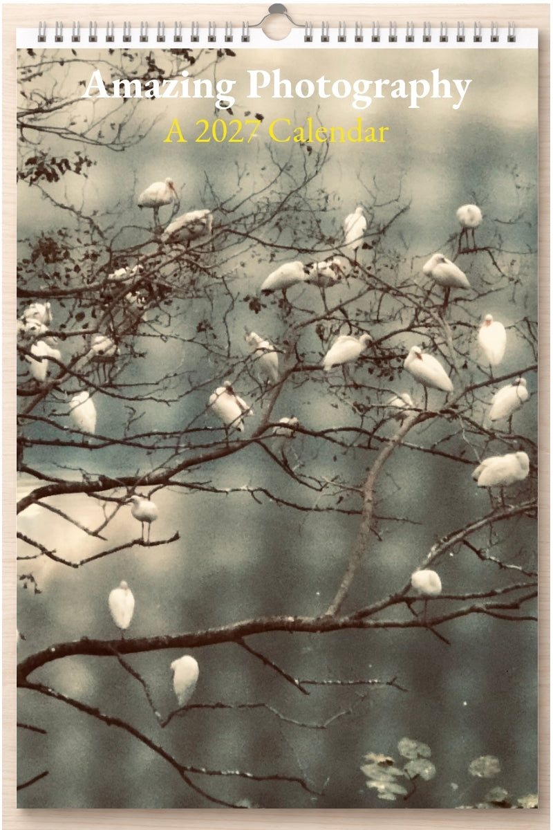 Amazing Photography: A 2027 Calendar