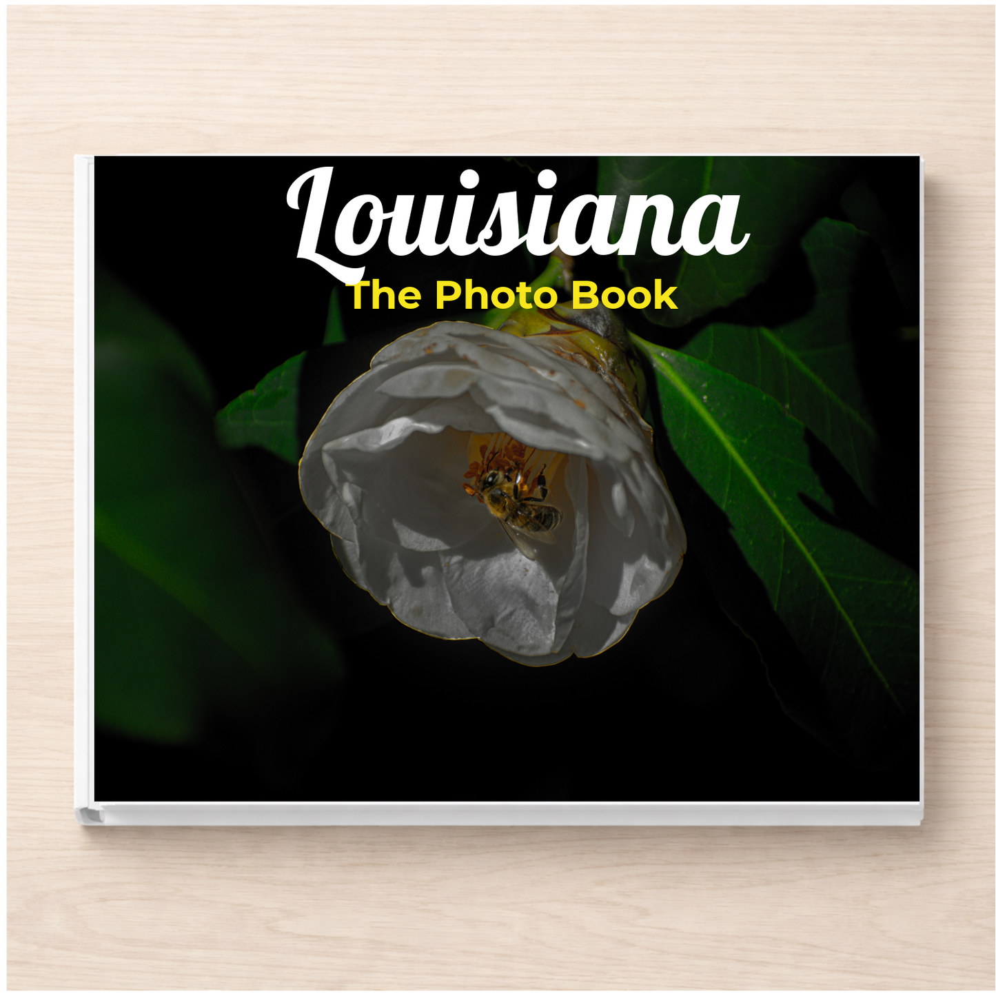 Louisiana: The Photo Book