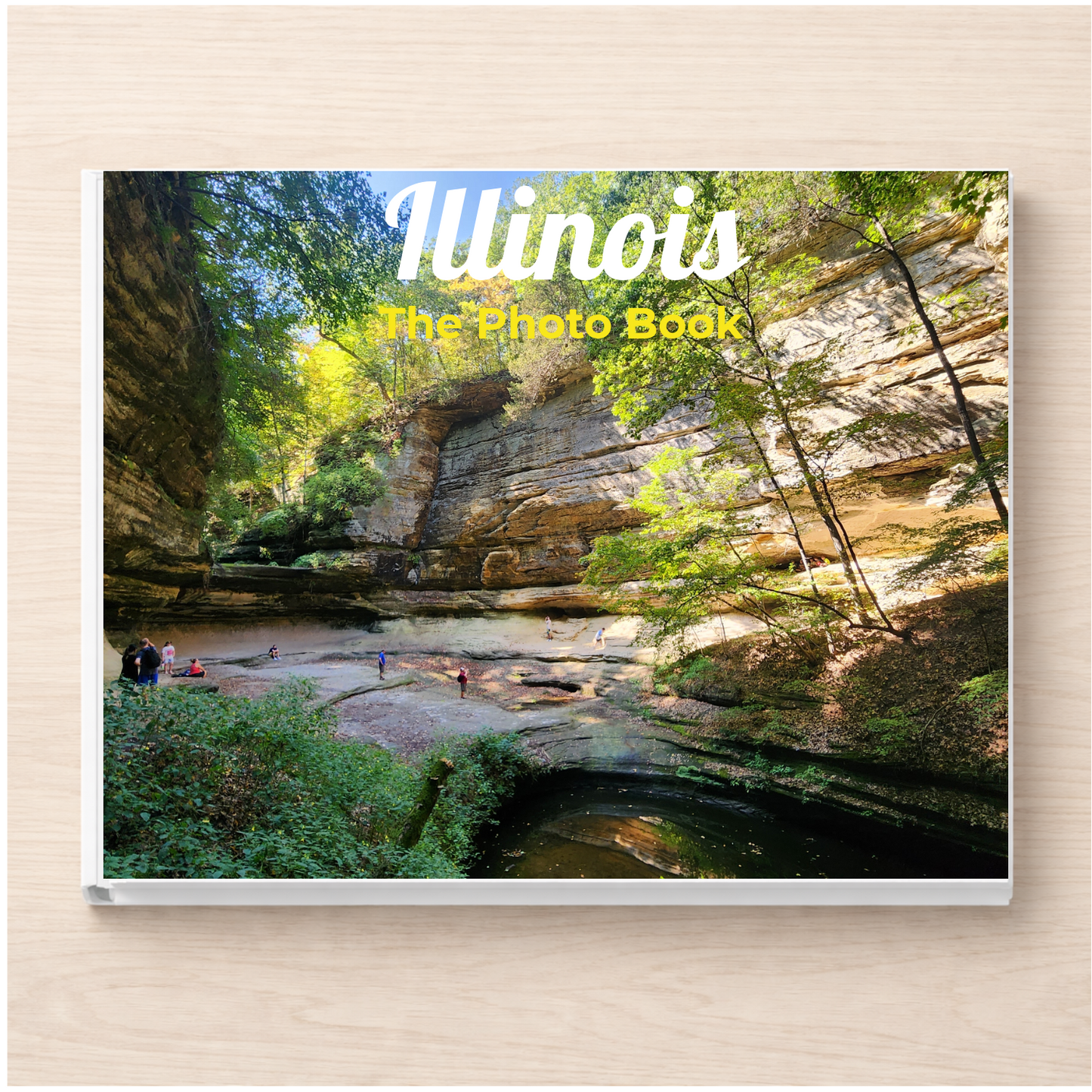 Illinois: The Photo Book